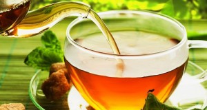 4 échantillons gratuits d’infusions Yves Ponroy