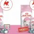 600 kits gratuits d’aliments Royal Canin chatons à tester