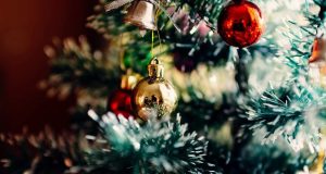 Sapins de Noël 2019: tous les bons plans